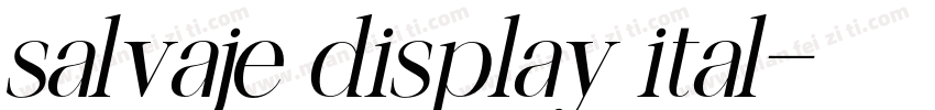 salvaje display ital字体转换